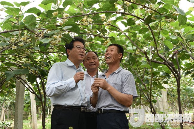 1511336471506699.jpg 2.jpg