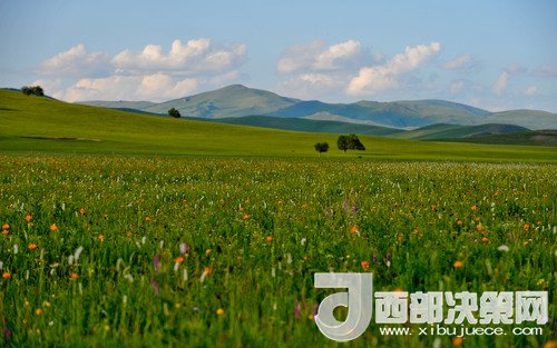 錫林郭勒草原。吳勇攝