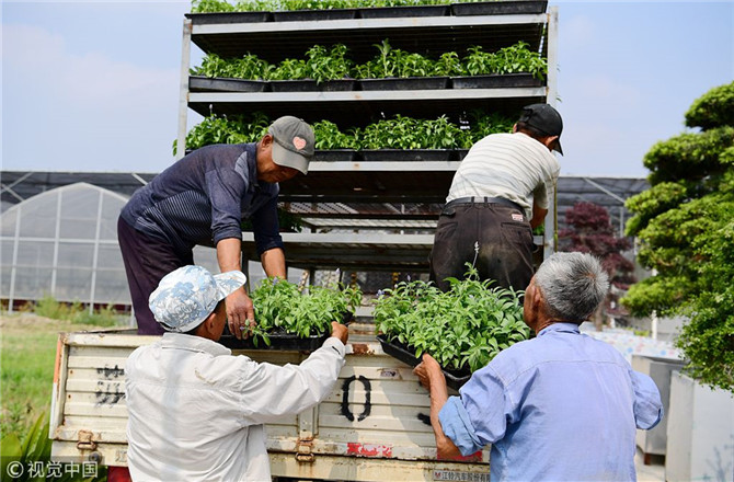 數(shù)字經(jīng)濟(jì)已經(jīng)成為我國(guó)經(jīng)濟(jì)社會(huì)更好發(fā)展的重要推動(dòng)力，也為我國(guó)鄉(xiāng)村發(fā)展提供了新的歷史機(jī)遇。（圖片來(lái)源：視覺(jué)中國(guó)）