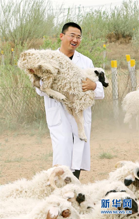 （壯麗70年·奮斗新時代——共和國發(fā)展成就巡禮·圖文互動）（3）生態(tài)美、百姓富——品讀嶄新“寧夏畫卷”