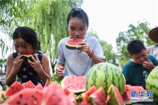 (社會(huì))(2)大暑節(jié)氣“賽西瓜”