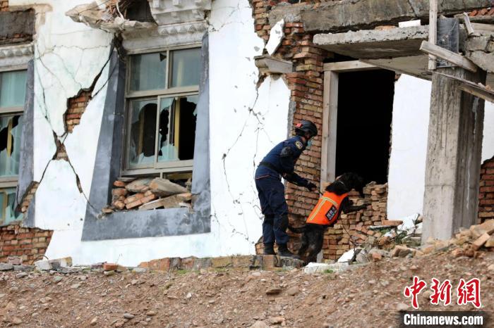 圖為搜救犬進(jìn)行模擬搜救。青海省應(yīng)急廳