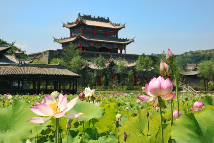 【云游渭南】心中若有桃花源，此處便是水云間！待疫情散盡，一起來渭南桃花源賞美景、觀民俗、享美食_fororder_2